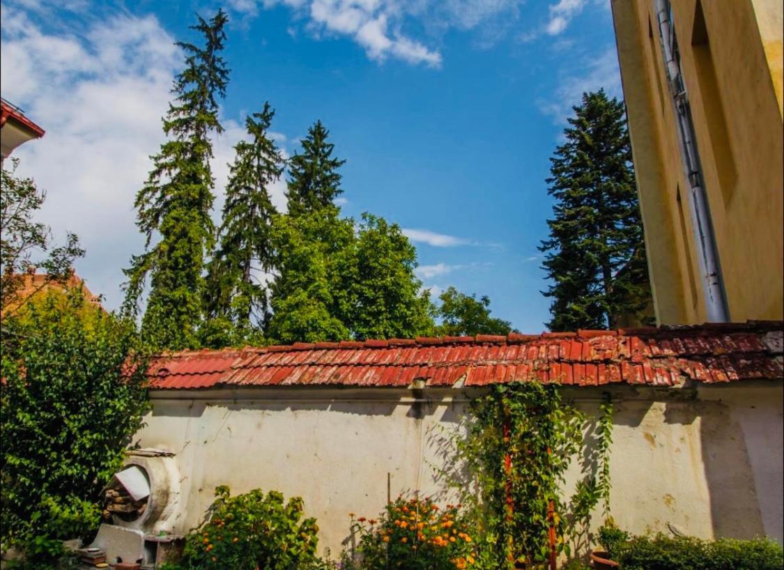Muresenilor Central Residence ブラショフ エクステリア 写真